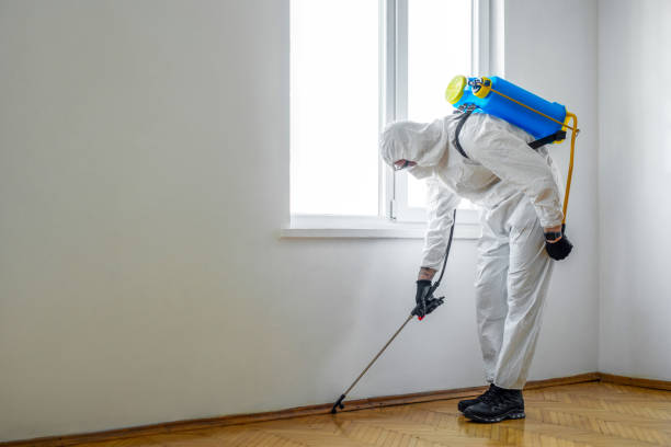 Professional Pest Control in Athens, GA